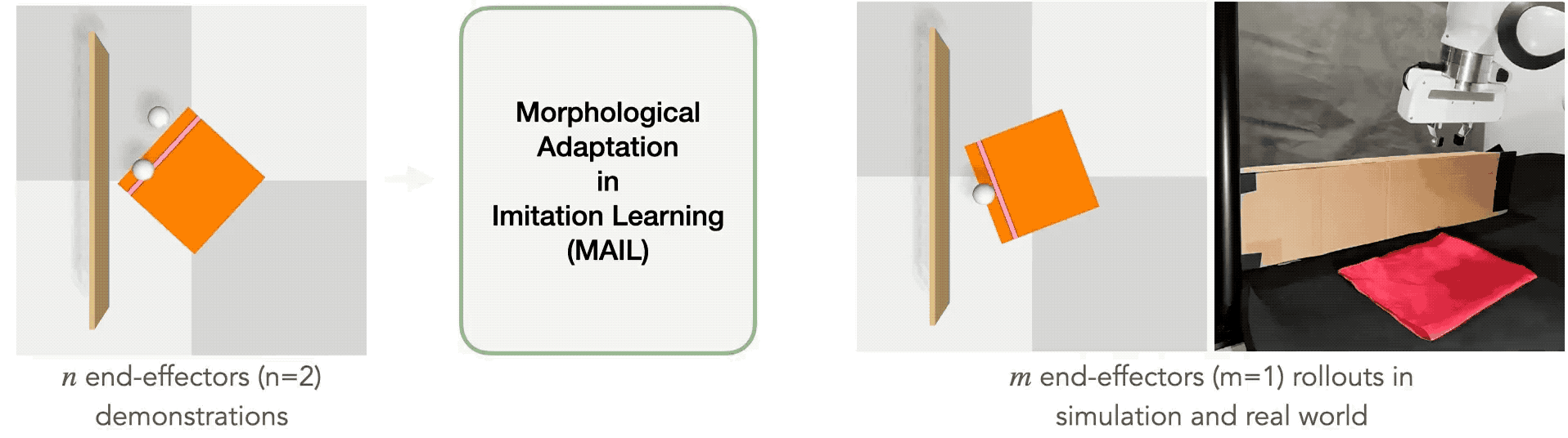 Learning Robot Manipulation from Cross-Morphology Demonstration